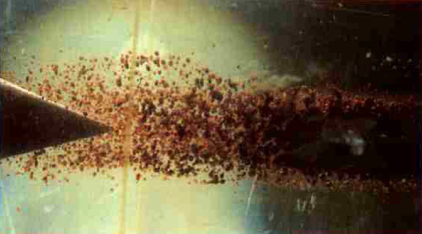 Analyse de coalescence de gouttes d'huile dans un vortex